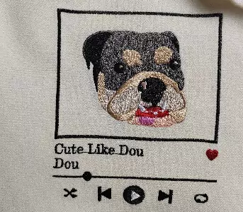 embroidered pet hoodie